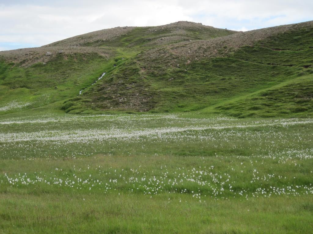 Guesthouse Gimbur Reykjarholl Buitenkant foto